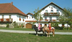 Bauernhof Gründinger